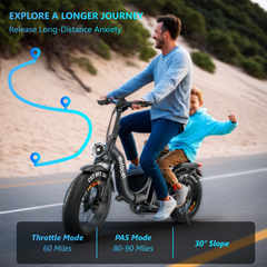 WOLBOOT 1200W High-Performance Electric Bike