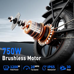 WOLBOOT  Electric Bike  Long Range 100 Miles